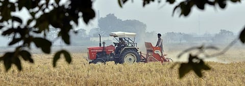 COVID-19: Bracing for agrarian crisis and food insecurity