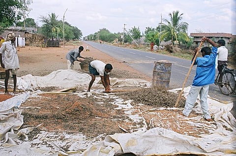 How Indian states are promoting organic, natural farming