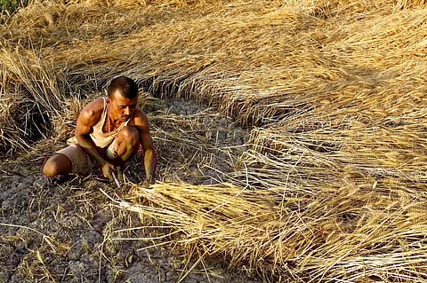 फाेटो: विकास चौधरी