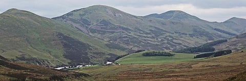UK can reduce 37% of its CO2 emissions by restoring ecosystems: Report
