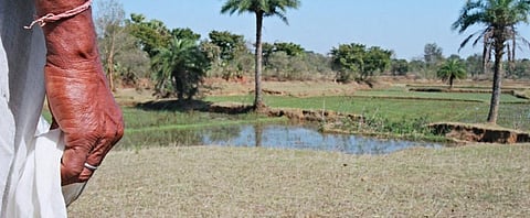Two incidents that made me ask: Whither forestry extension?