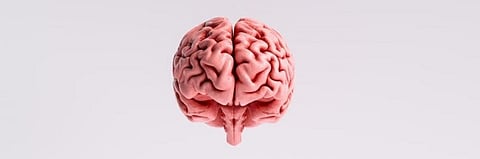 How COVID-19 affects the brain