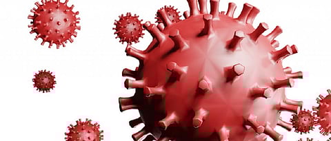 The authors had written to the WHO, asking it to accept that COVID-19 spreads through the air. Photo: Pixabay