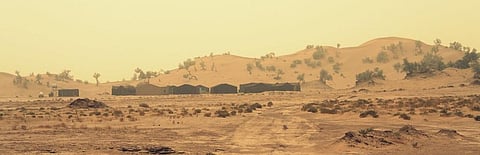 Avg global temperature can rise by 1.5°C in next 5 years: WMO report