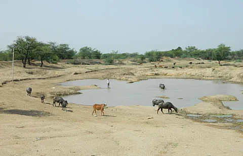 राजस्थान के अजमेर जिले का खेड़ा गांव में ग्रामीणों द्वारा बनाया गया तालाब। फोटो: अनिल अश्विनी शर्मा
