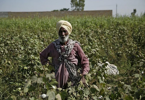 The Green Revolution and a dark Punjab