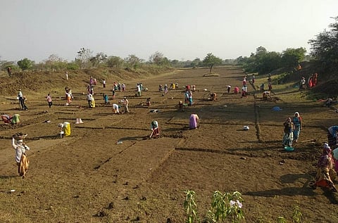 छत्तीसगढ़ के दुर्ग जिले में सोशल डिस्टेंसिंग के साथ मनरेगा का काम चल रहा है। फोटो: मनीष चंद्र मिश्र