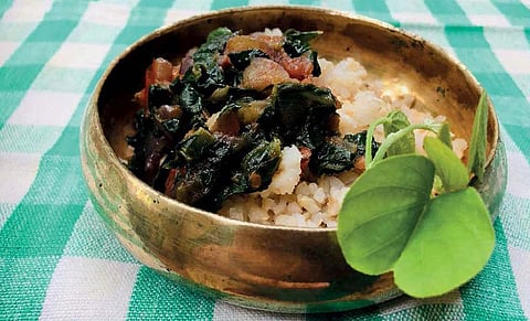 The leaves have anti-ulcer properties and are consumed to protect the kidneys and liver (Photograph: Vibha Varshney)