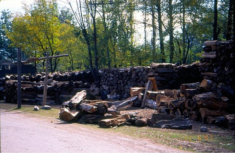 Nearly 213 ha in protected areas diverted between April and July