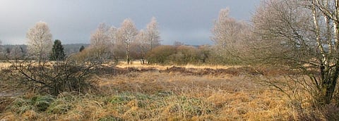 Where does the water go during a drought? Germany researchers try to find out