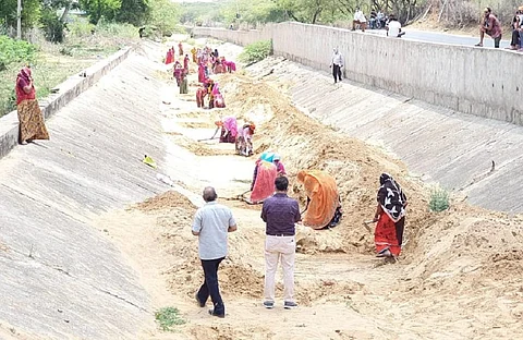 राजस्थान के गनाहैडा गांव में सफाई करते मनरेगा मजदूर। फोटो: अनिल अश्विनी शर्मा