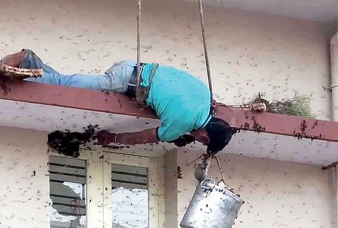 Why should only jumbos matter?