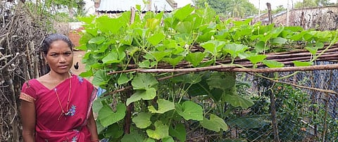 There’s biodiversity in our backyard and it can help us fight malnourishment