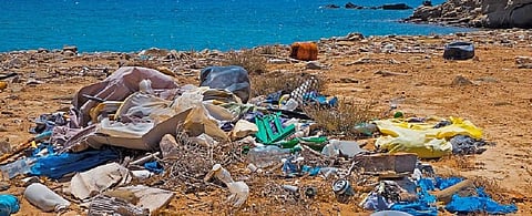 50 kg plastic for every metre of coast by 2040 without drastic action: Report