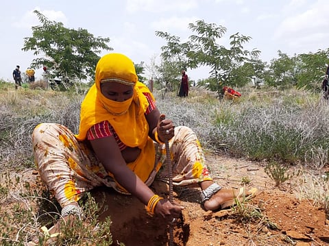 मारवों का खेड़ा गांव में 40 महिलाएं बदल रही हैं बंजर जमीन की दशा। फोटो: अनिल अश्वनी शर्मा