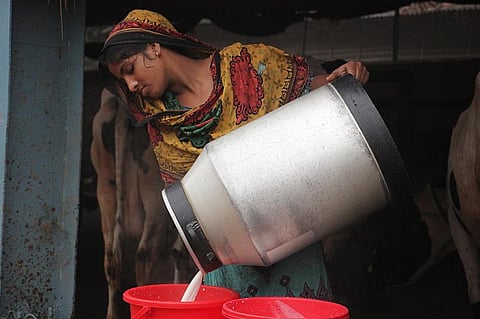 Photo: Wikimedia commons