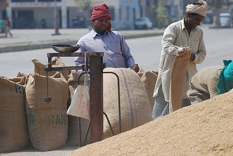 Essential Commodities (Amendment) Ordinance: A strong EC Act is still needed