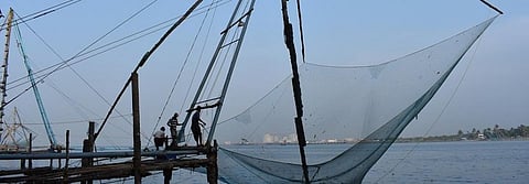 Towards sustainable marine fisheries value chain: Reflections amid COVID-19 crisis