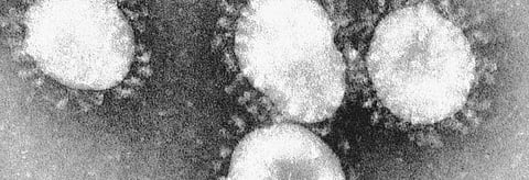 Coronavirus update: India adds more than 50,000 cases for first time