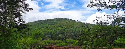 Beyond conservation, why our natural ecosystems need restoration