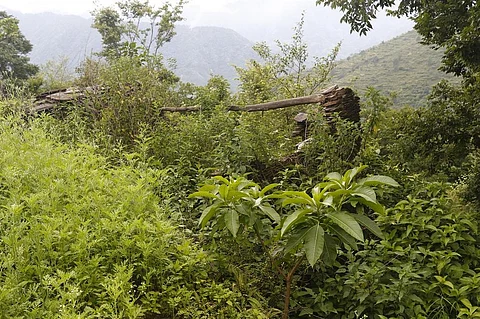 उत्तराखंड के पौड़ी जिले का गांव बलूणी, जहां कोरोना काल में भी लोग नहीं लौटे हैं। फोटो: श्रीकांत चौधरी