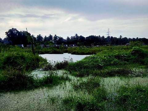 How an entrepreneur saved Kerala wetland ecosystem from real estate interest