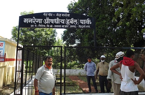 सिद्धार्थनगर के भिटिया गांव में मनरेगा से विकसित हुआ हर्बल पार्क। फोटो: विवेक मिश्रा