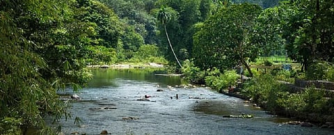 Models aren’t a panacea for saving the environment: hard lessons from REDD+