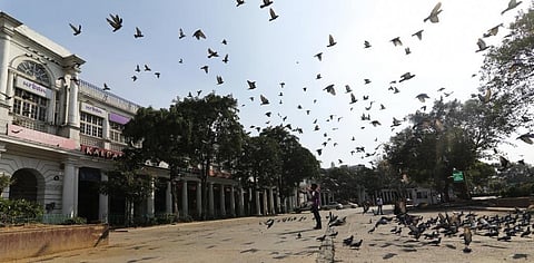 COVID-19 has caused humanity’s ecological footprint to contract by 3 weeks