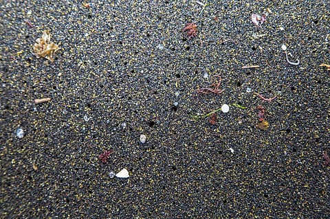 Atlantic Ocean contains 10 times more microplastics than previously thought: Study