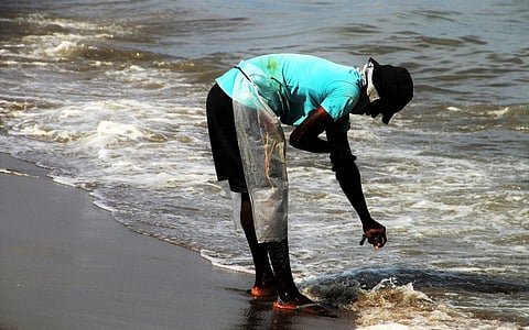 हिन्द महासागर के 50 फीसदी हिस्से पर पड़ चुका है जलवायु परिवर्तन का असर