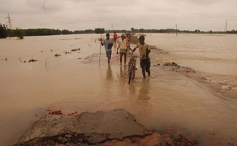 Do Bihar migrants have the choice to not go back to cities?