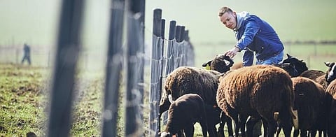 EU subsidies benefit big farms while underfunding greener and poorer plots