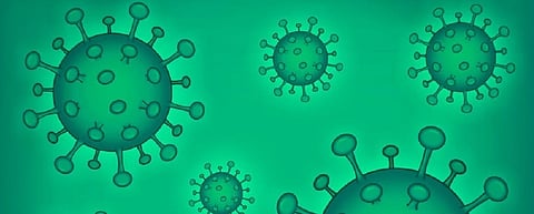 COVID-19: Hong Kong University ‘confirms’ first case of reinfection, WHO advises caution