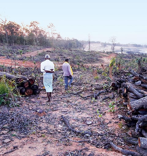 आदिल साई आर्मो और जैरंद पोर्ते घबरवा गांव (सरगुजा, छत्तीसगढ़) में कोयला खदान के कारण विलुप्त हुए जंगल से गुजरते हुए