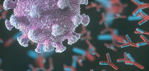 Declining antibodies and immunity to COVID-19: Why the worry?