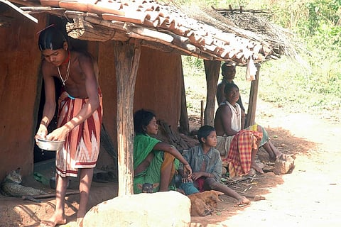 वनवासियों के हकों को नजरअंदाज करके नहीं किया जा सकता वनों का विकास