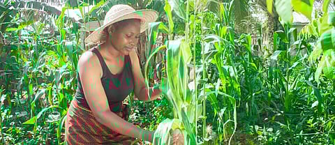 A young African farmer. Photo: The Conversation / www.shutterstock.com