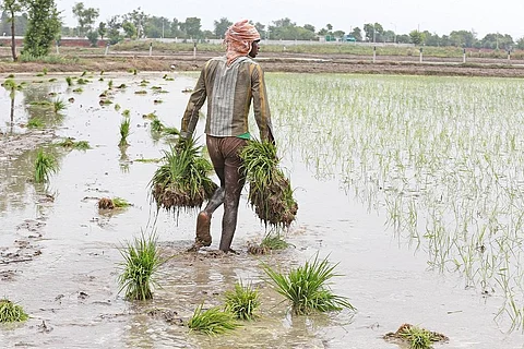 फोटो: विकास चौधरी
