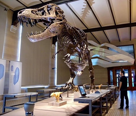 How do you weigh a dinosaur? There are two ways, and it turns out they’re both right