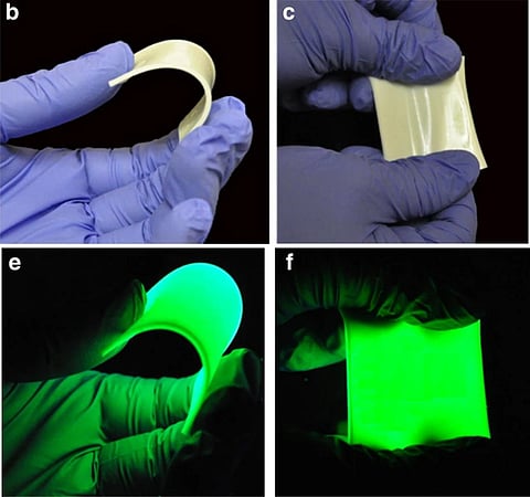 Photo credit: Nature Communications