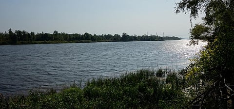 The Pripyat river at Chernobyl. Photo: Wikimedia Commons