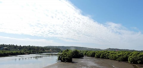Mandovi river in Goa. Construction of Kalasa-Banduri canals over Mandovi river has been a point of contention between the Goa and Karnataka governments. Photo: Wikimedia Commons