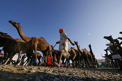 फोटो: विकास चौधरी