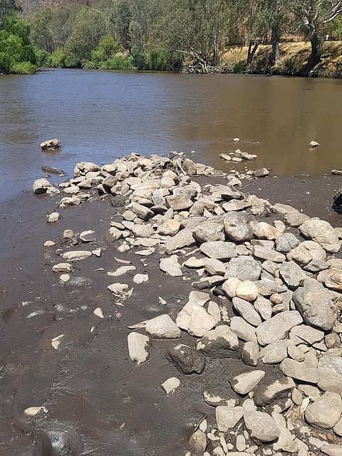 How bushfires and rain turned our waterways into ‘cake mix’, and what we can do about it