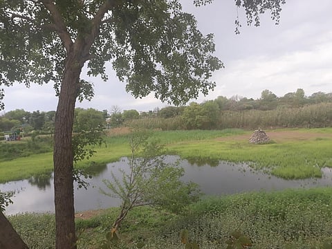 COVID-19: Ecology and evolution of viruses — and way forward