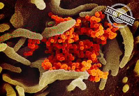 COVID-19: The virus in our genes