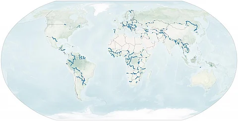 The map highlights in blue all of the international borders defined by large rivers. Credit: Earth Observatory, NASA
