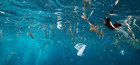 Famous Cuddalore beach found to have high level of microplastics: NCPOR study