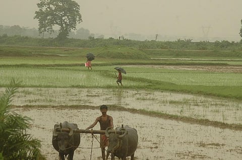 Photo: Agnimirh Basu